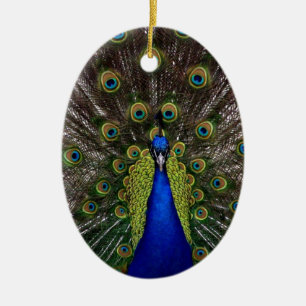 Peacock Ceramic Tree Decoration