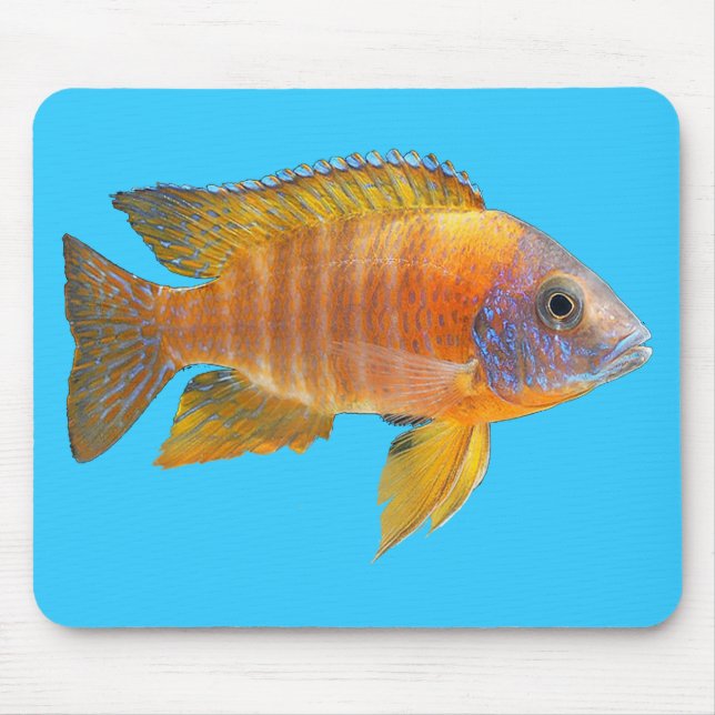 Peacock Cichlid Mouse Pad (Front)