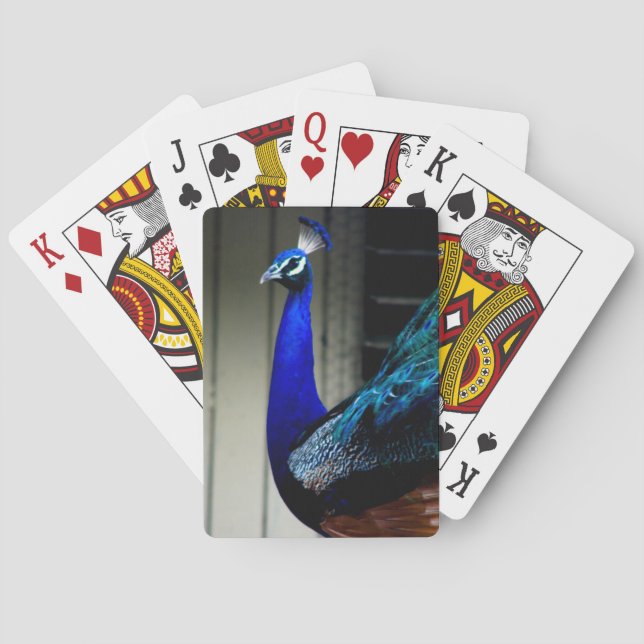Peacock Classic Playing Cards (Back)