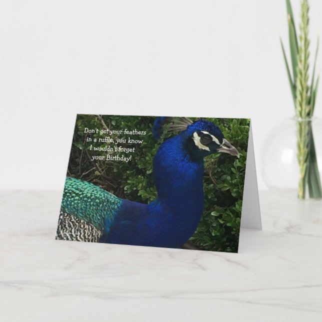 Peacock Close Up Birthday Card (Front)