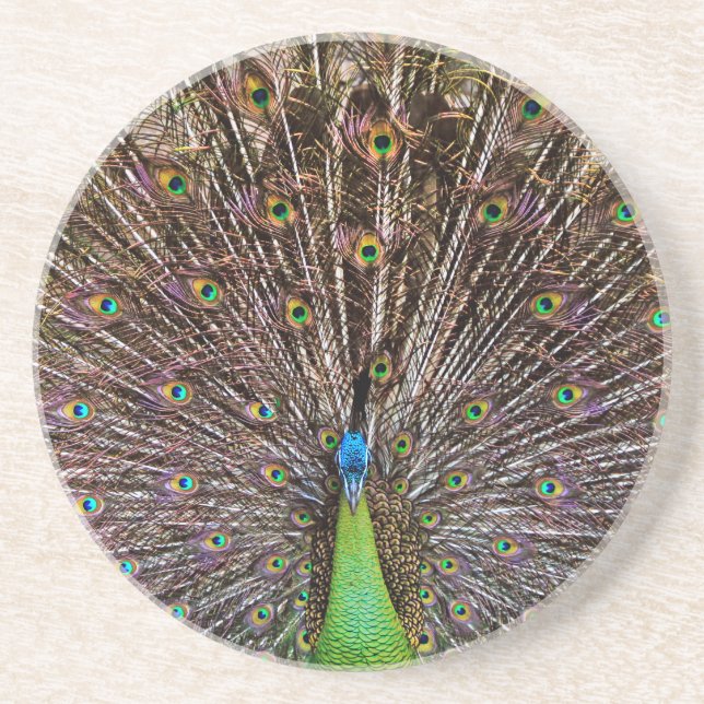Peacock Coaster (Front)