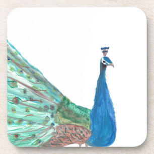 Peacock Coaster