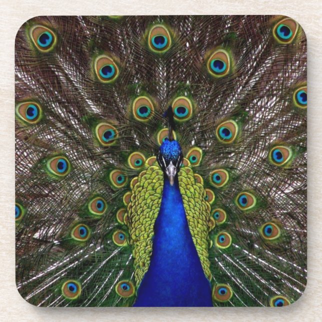 Peacock Coaster (Front)