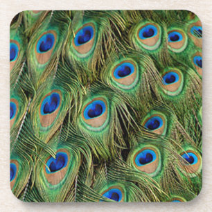 Peacock Coasters
