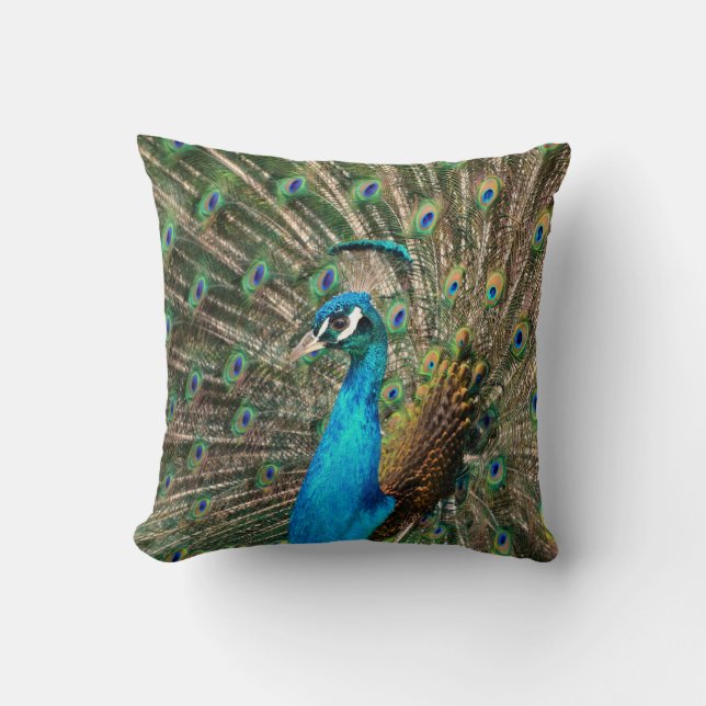 Peacock Cushion (Front)