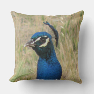 Peacock Cushion