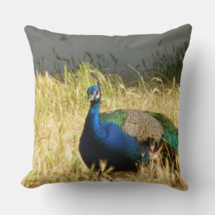 Peacock Cushion