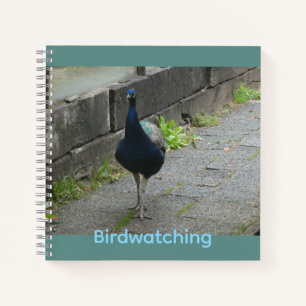 Peacock Cust. Text Birdwatching Notebook