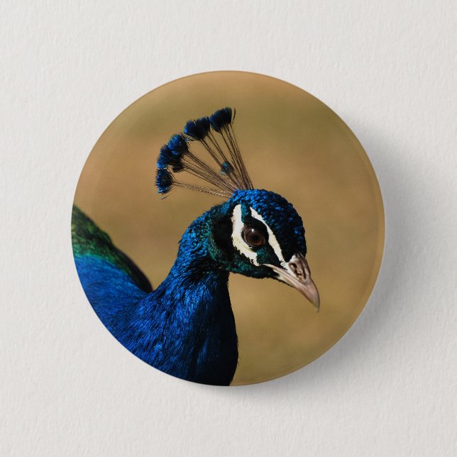 Peacock customisable badges & buttons (Front)