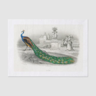 Peacock decoupage paper