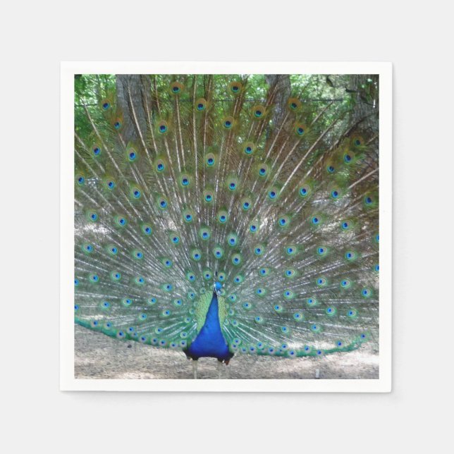 Peacock Design Party Napkins (Front)