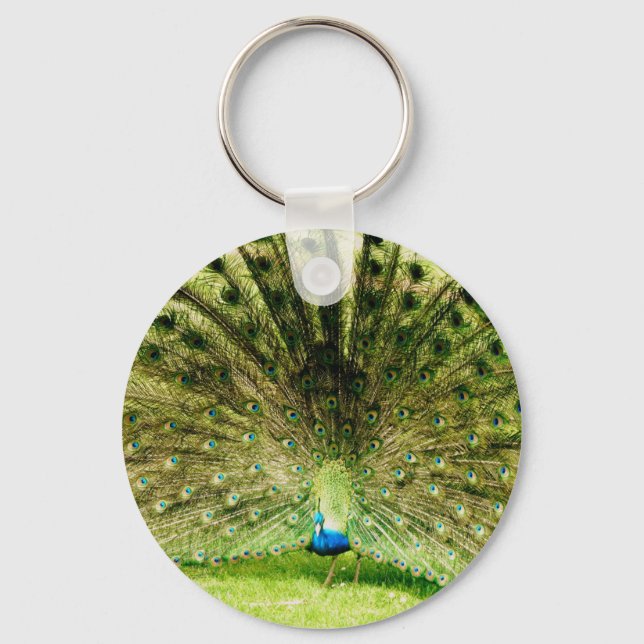 Peacock Display Colors Key Ring (Front)