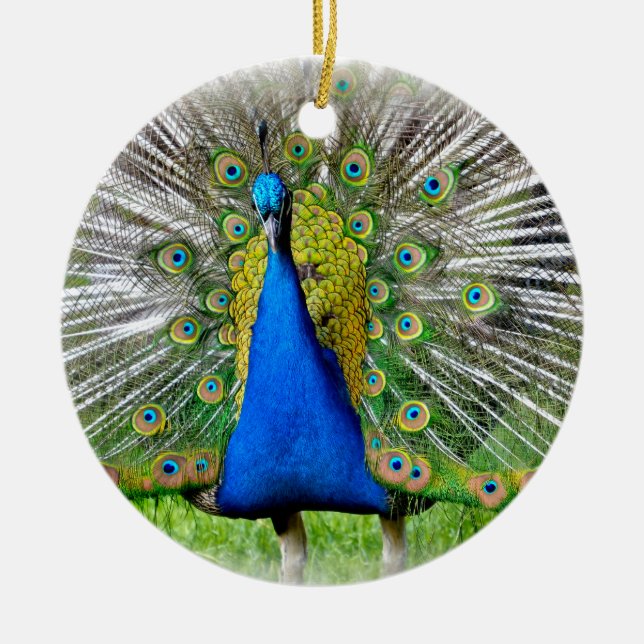 Peacock displaying tail feathers T-Shirt Ceramic Ornament (Front)