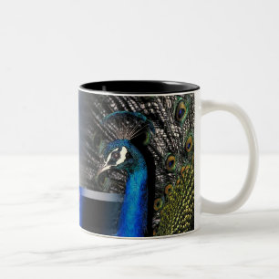 Peacock Dreams Two-Tone Coffee Mug