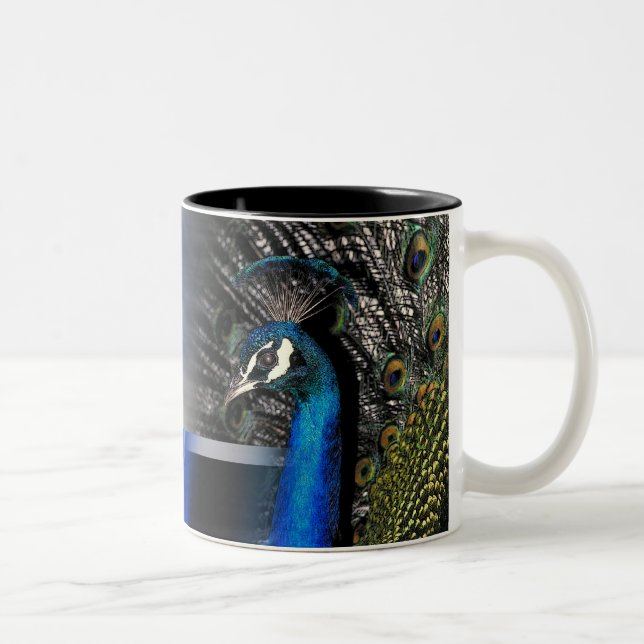 Peacock Dreams Two-Tone Coffee Mug (Right)