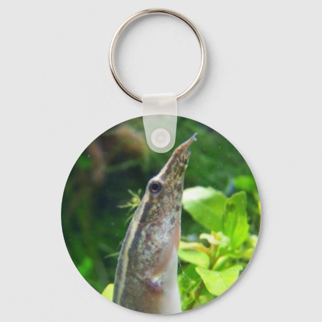 Peacock Eel "Elvis" Key Ring (Front)