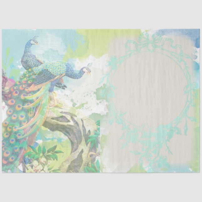 Peacock Ephemera 3 Tissue Paper (Front)