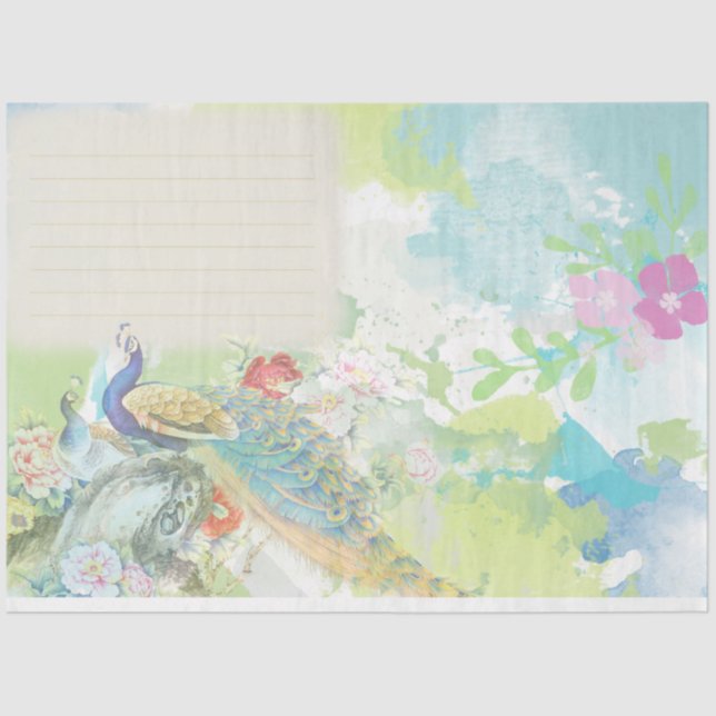 Peacock Ephemera 4 Tissue Paper (Front)