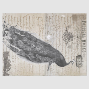 Peacock Ephemera Collage Tissue Paper