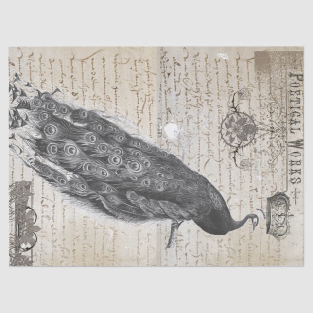 Peacock Ephemera Collage Tissue Paper (Front)