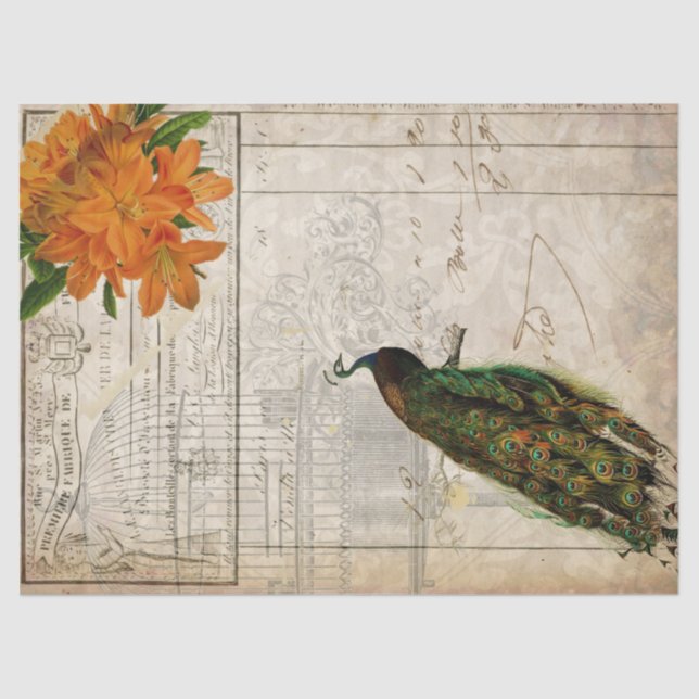 Peacock Ephemera Decoupage Paper (Front)