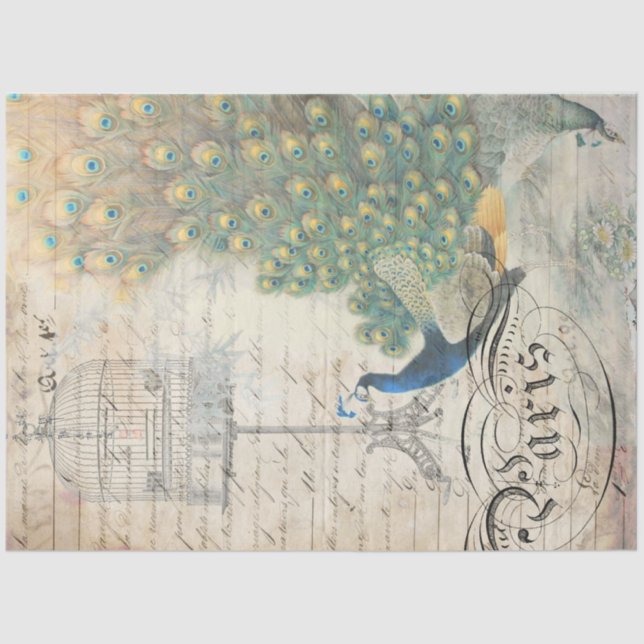 Peacock Ephemera Decoupage Paper Right (Front)