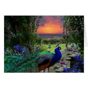 Peacock Fantasy Paradise Nature Landscape