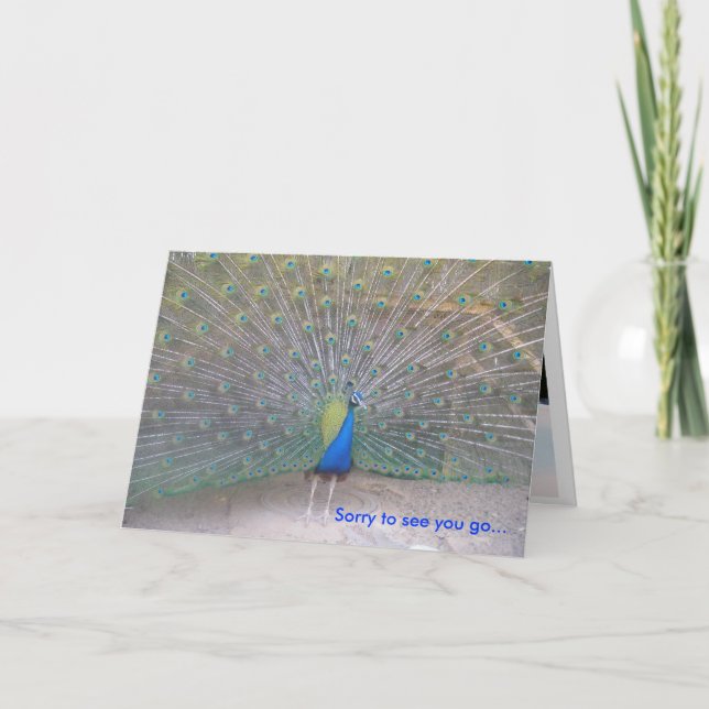 Peacock - Farewell Card (Front)