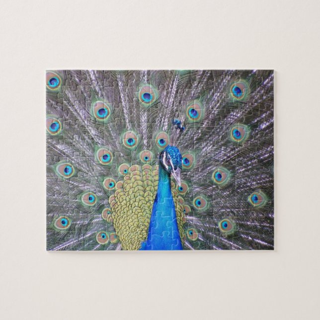 Peacock Fashion Puzzle (Horizontal)