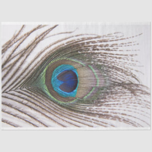 Peacock Feather 3 Decoupage Tissue Paper