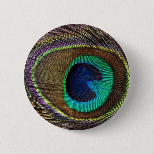 peacock feather 6 cm round badge (Front)