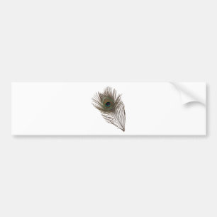 Peacock feather bumper sticker