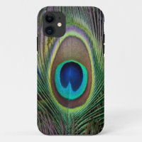 Peacock feather