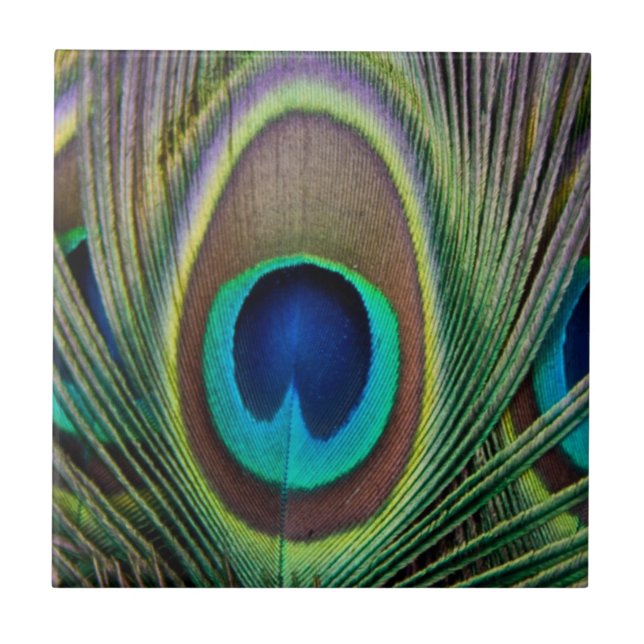 Peacock feather ceramic tile (Front)