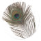 Peacock feather