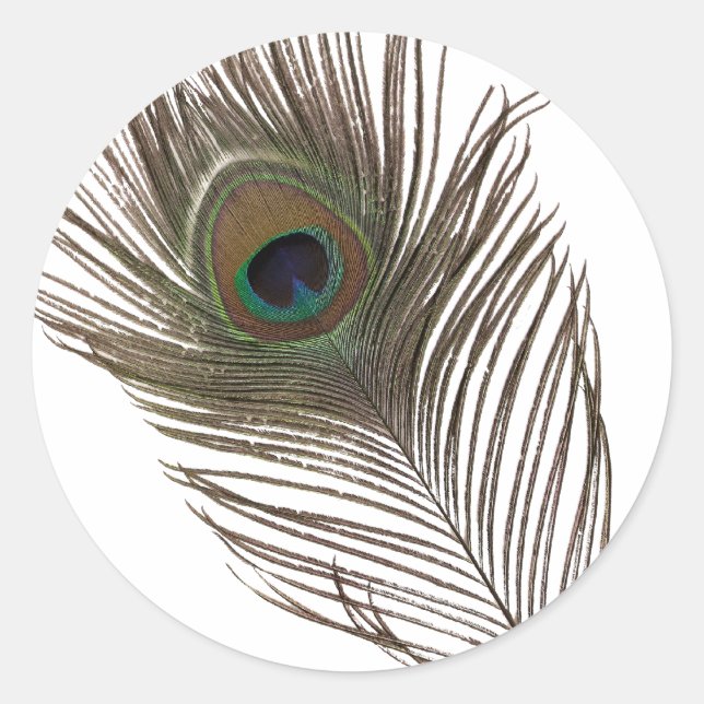 Peacock feather classic round sticker (Front)