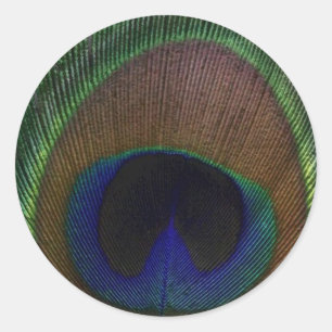 Peacock Feather Classic Round Sticker