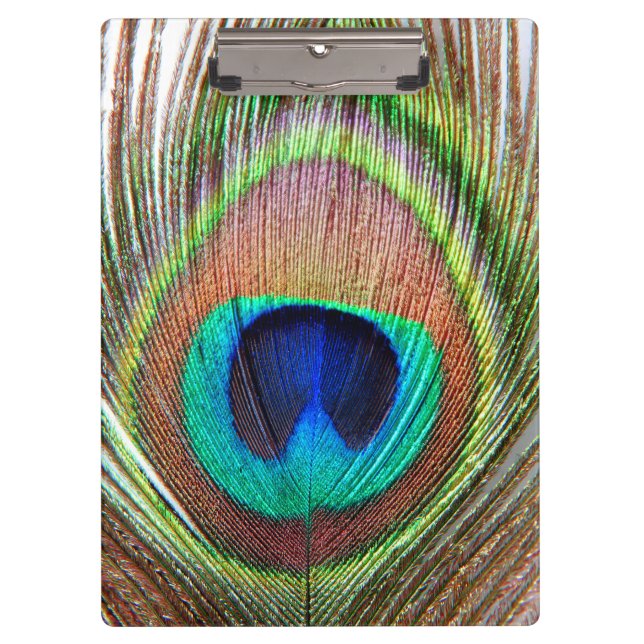 Peacock Feather Clipboard (Front)