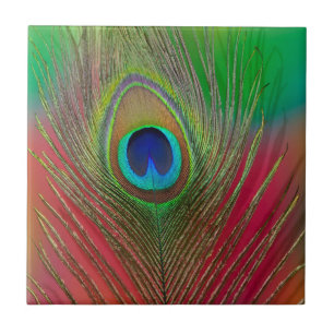 Peacock feather close-up ceramic tile