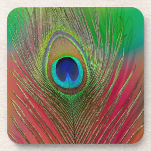 Peacock feather close-up coaster
