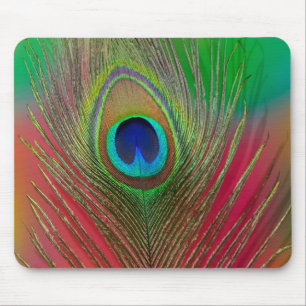 Peacock feather close-up mouse pad