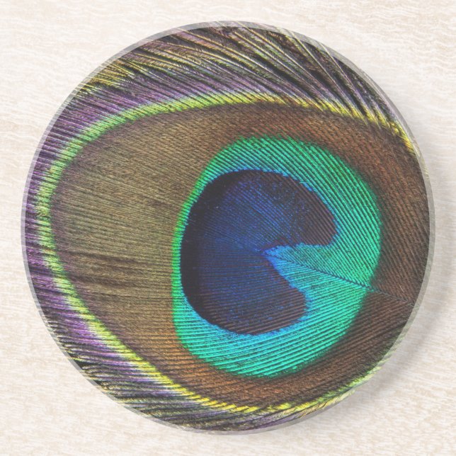 peacock feather coaster (Front)