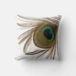  Peacock Feather   Cushion
