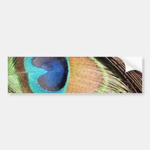 Peacock Feather Designs Bumper Sticker