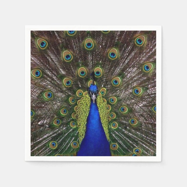 Peacock Feather Display Photo Napkin (Front)
