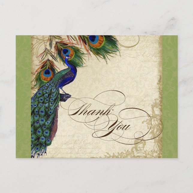 Peacock & Feather Formal Thank You Note Lime Green Postcard (Front)