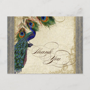 Peacock & Feather Formal Thank You Note Silver Postcard