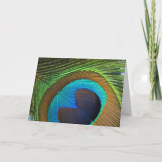 Peacock Feather Greeting Card - blank inside