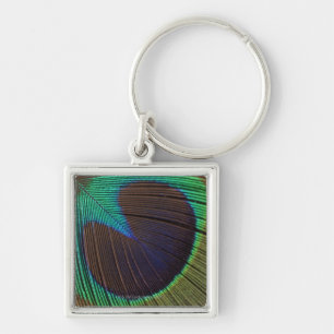 Peacock feather key ring