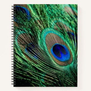 Peacock Feather Lucky Notebook